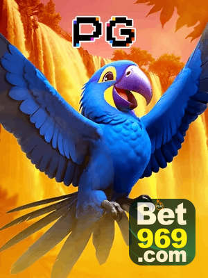 969BET bônus — cashback 15 por cento e níveis VIP